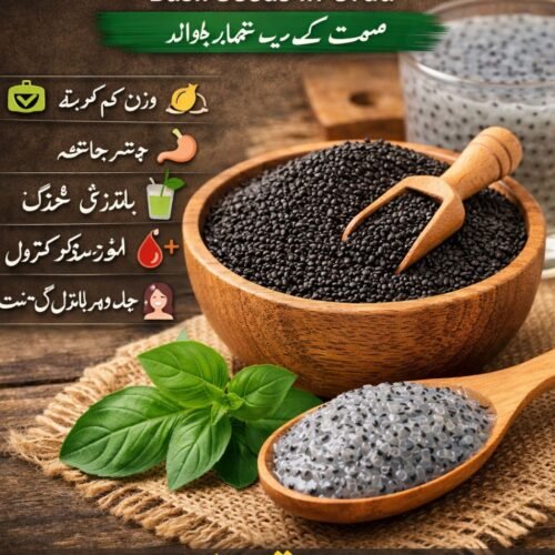 Basil Seeds in Urdu (تخم بالنگا) – Health Benefits | Al Hafeez Dry Fruits Quetta